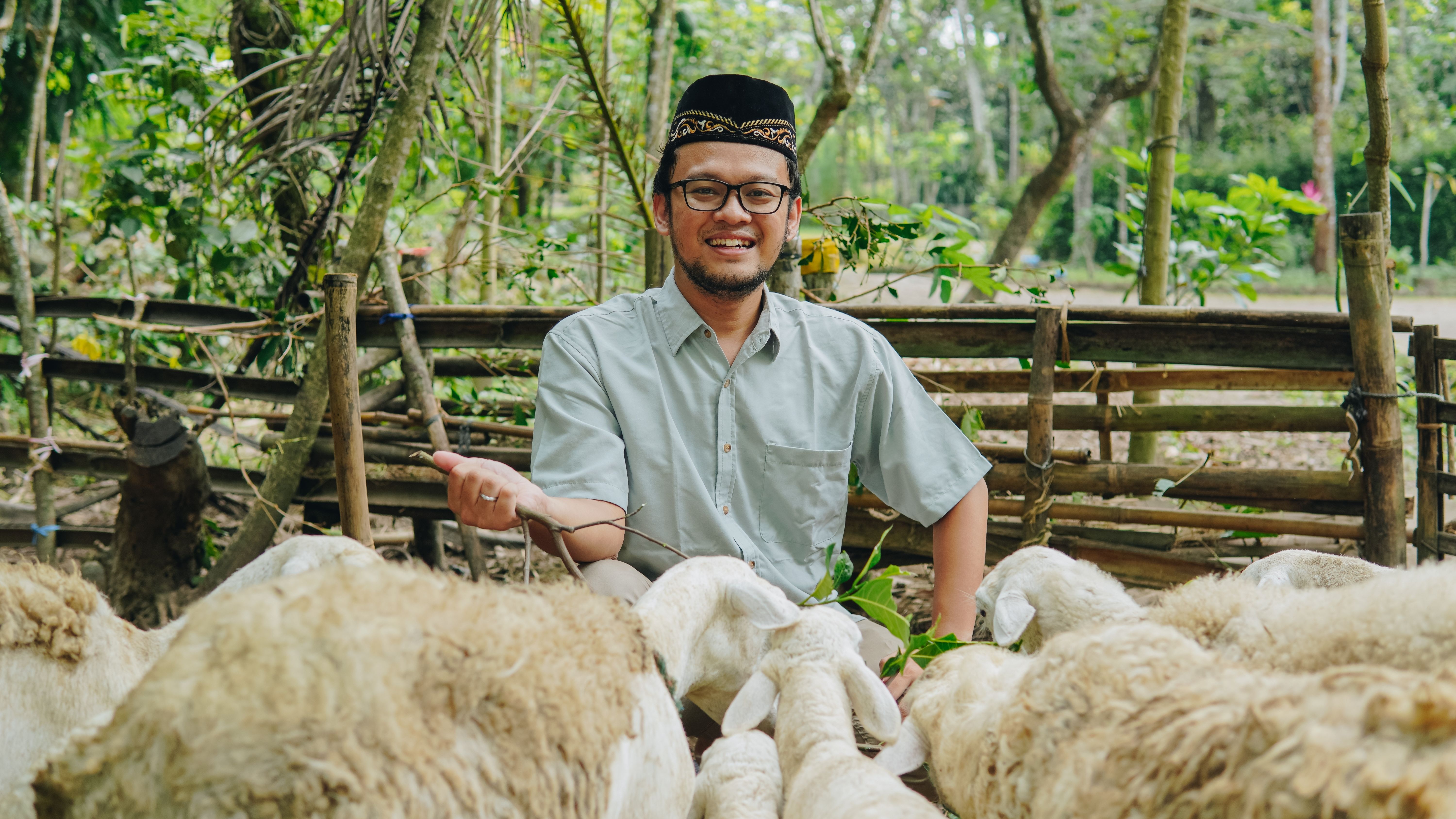 Panduan Lengkap Kambing Kurban Syarat Dan Ketentuannya BAZNAS