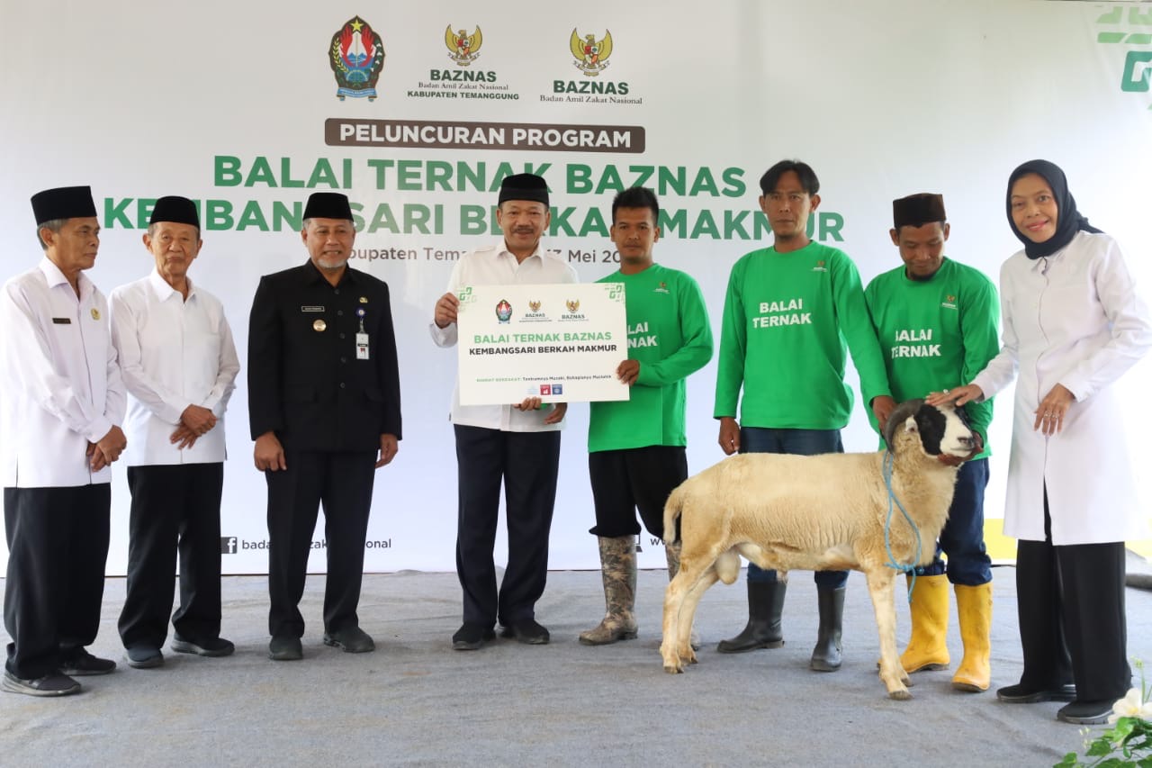 Luncurkan Balai Ternak Di Temanggung, BAZNAS Berdayakan Peternak ...