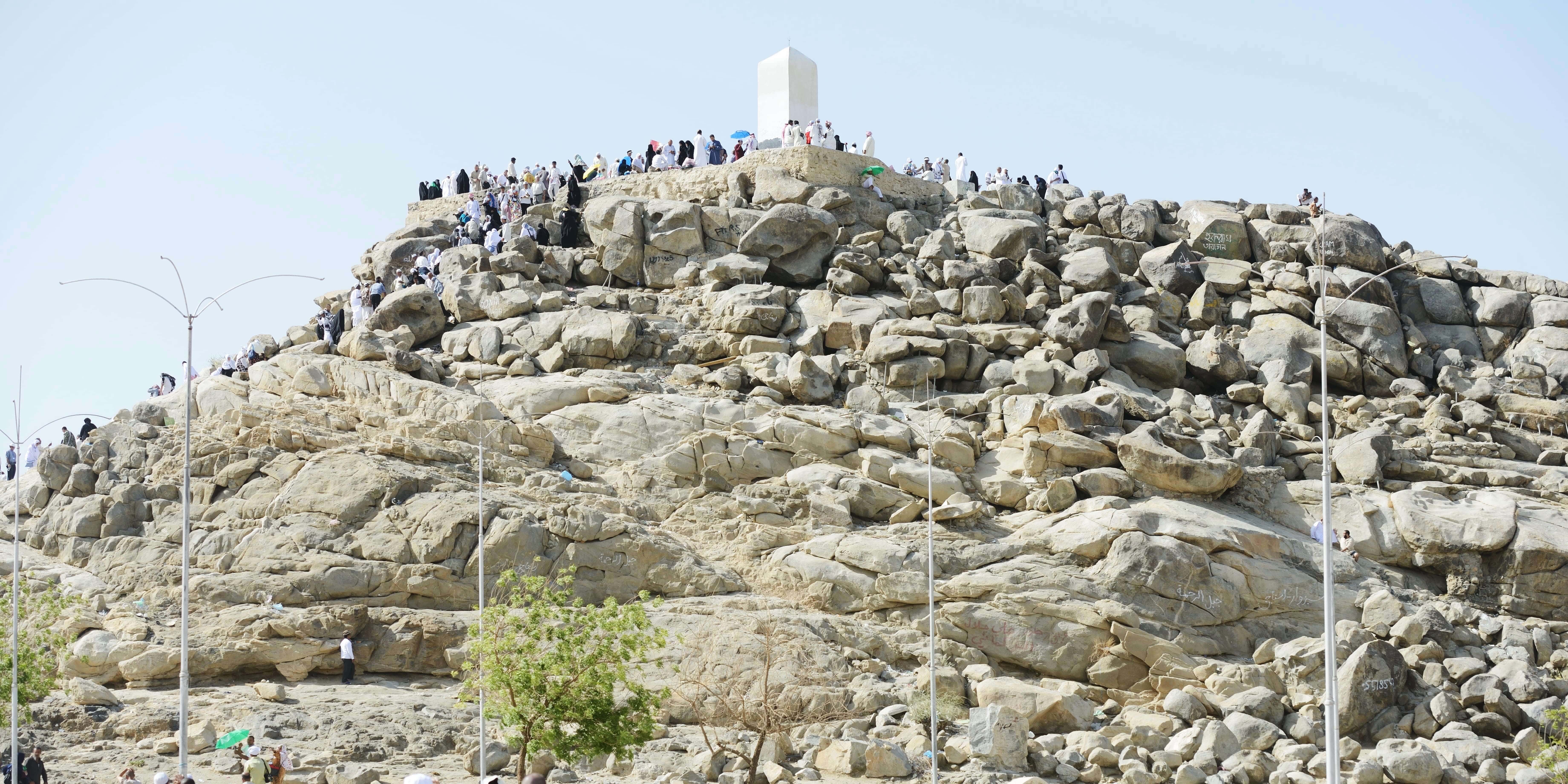 Mengenal Dam Haji dan Cara Pendistribusiannya